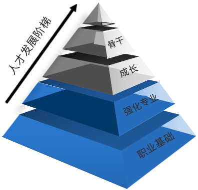 人才發(fā)展階梯